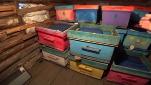 ВЕНТИЛЯЦИЯ В УЛЬЕ У ЗИМУЮЩИХ ПЧЕЛОСЕМЕЙ НА ВОЛЕ И В ЗИМОВНИКЕ, КАК Я ДЕЛАЮ.