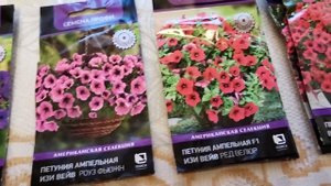 Ампельная петуния.СЕМЕНА на 2024г.
