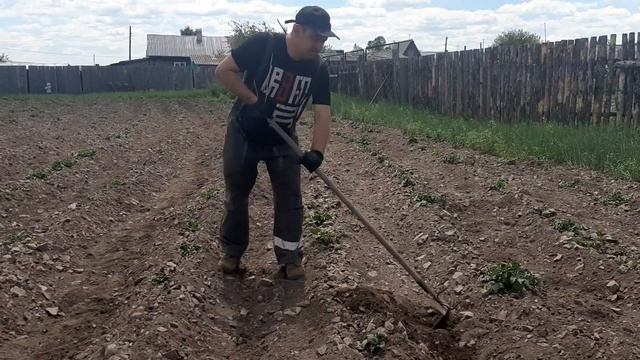 как правильно окучивать картофель тяпкой смотреть онлайн