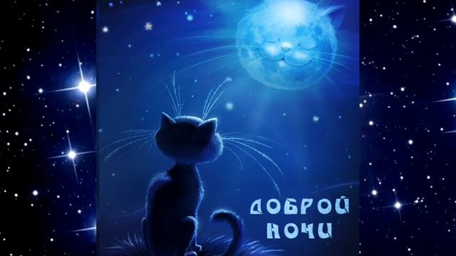 спокойной ночи