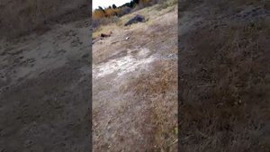 техучасток
