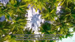 О погоде на Мальдивах в январе (когда хорошо ехать отдыхать, температура воды)