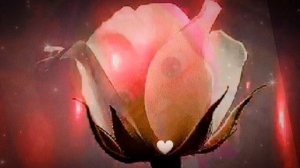 Девушка звезда