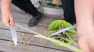 Как заготовить лопух на зиму или на долгое хранение