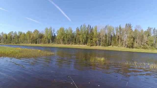 Рыбалка на Луге на ультралайт. Мой первый голавлик! смотреть онлайн