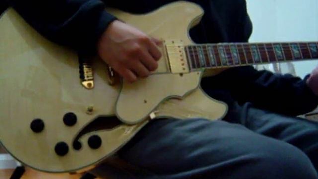 Epiphone The Dot V.S Ibanez AS103 смотреть онлайн