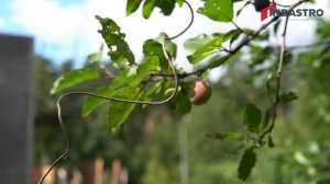 Торкрет бетон или технология набрызг-бетона от производителя ТМ INDASTRO