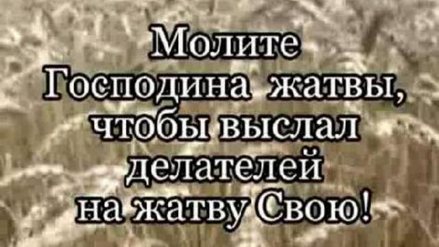К 20-летию пресвитерской хиротонии свящ. Георгия Кочеткова