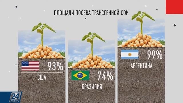 ГМО соя