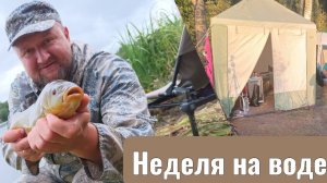 Недельная рыбалка дикарем! Яузское ВДХР!
