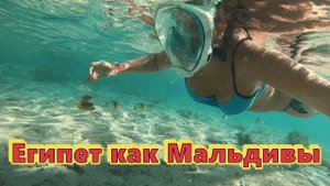 Египет✔ Шарм Эль Шейх✔ ОТМОРОЖЕННЫЕ родители!!! Альбатрос Мадерна 5* !!! Снорклинг, аквапарк!!!