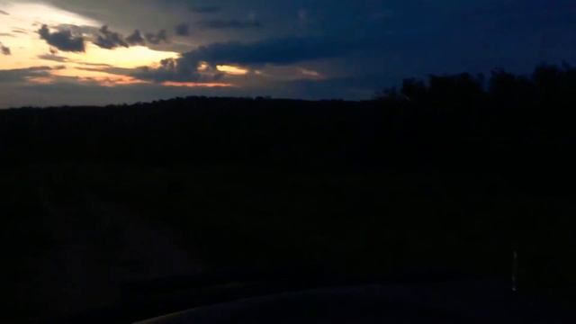 NIGHT WITH LIONS Ночь со львами смотреть онлайн