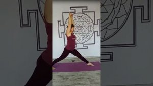 Учебно-показательное занятие Хатха йога для начинающих. Елена Брахман.  17.06.2023