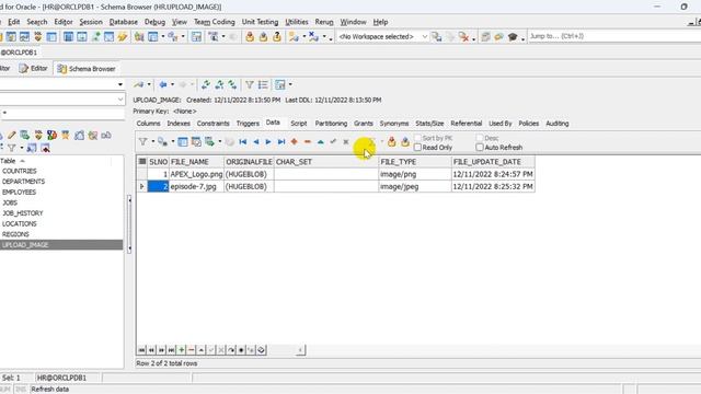 How to create display only, file browse, hidden, listmanager and shuttle item in oracle apex смотреть онлайн