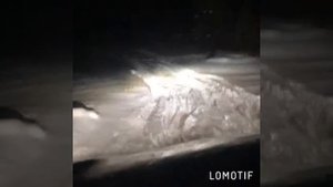 Тест по бездорожью, Toyota RAV4, зима.