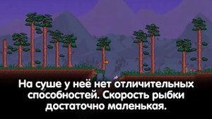 Что будет, если превратиться в лягушку? ● Terraria