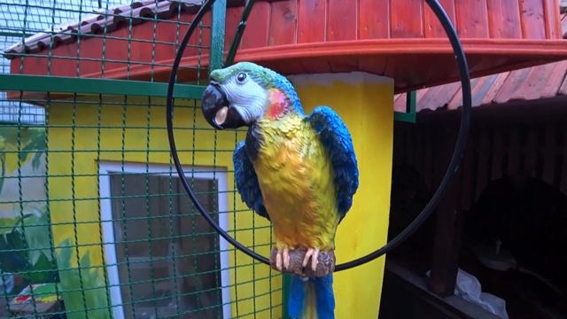 Эксклюзив! Рисуем картинку в вольере для обезьяны|МАКАКА МАГОТ смотреть онлайн