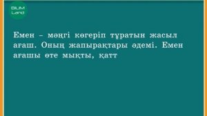 Мәтін түрлері