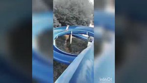 24 часа в закрытом аквапарке челендж/проникли в аквапарк