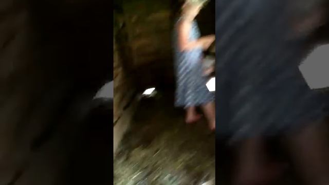 Анюта собирает яйца! смотреть онлайн