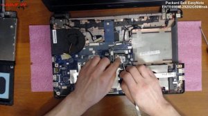 ? Packard Bell EasyNote ENTE69BM-29202G50Mnsk разборка , комплексная чистка , замена термопасты