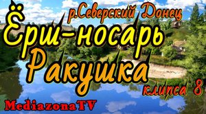 #рр4 р.Северский Донец Ёрш-носарь + ракушки 23.04