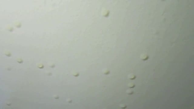 Мыть окрашенный потолок, 1 смотреть онлайн