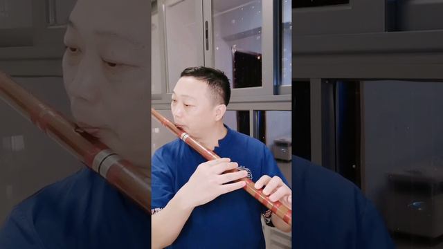 Bass G key dizi flute practice song 《半生雪》竹笛低音大G调 @Dan Tang смотреть онлайн
