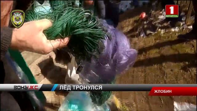 Госинспекция заявляет о тройном увеличении штрафов за незаконную ловлю рыбы во время нереста смотреть онлайн