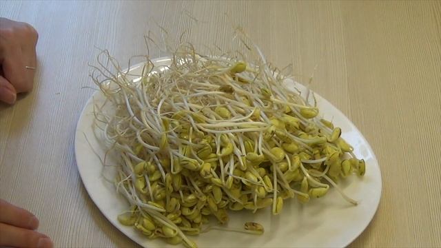 Корейская кухня: Закуска из соевых ростков или Кон намуль мучим (콩나물무침)
