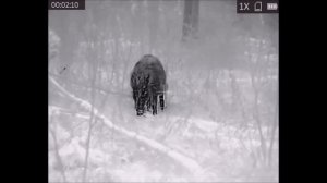 Yukon Nordforce XQ 30 ПРЕМЬЕРА НОВИНКИ . Новый бюджетный  тепловизионный прицел...