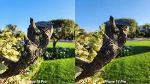 iPhone 15 Pro VS iPhone 14 Pro Camera Test Comparison