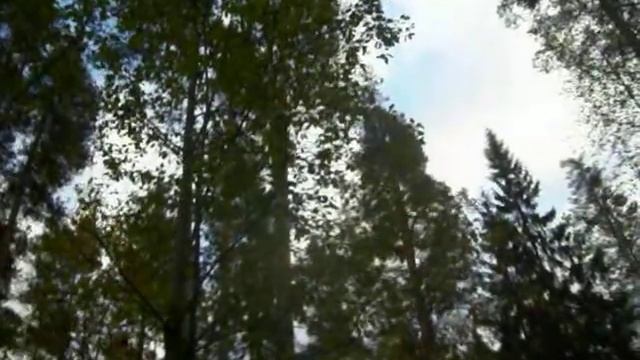 лес, две девочки смотреть онлайн