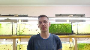 Для новичков Какую воду лить в аквариум, сколько кормить рыбок