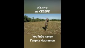 Едем на луга на Севере #Shorts