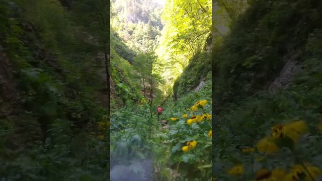 Однодневный поход в пещеру Мезмайская (пещера шестерых)