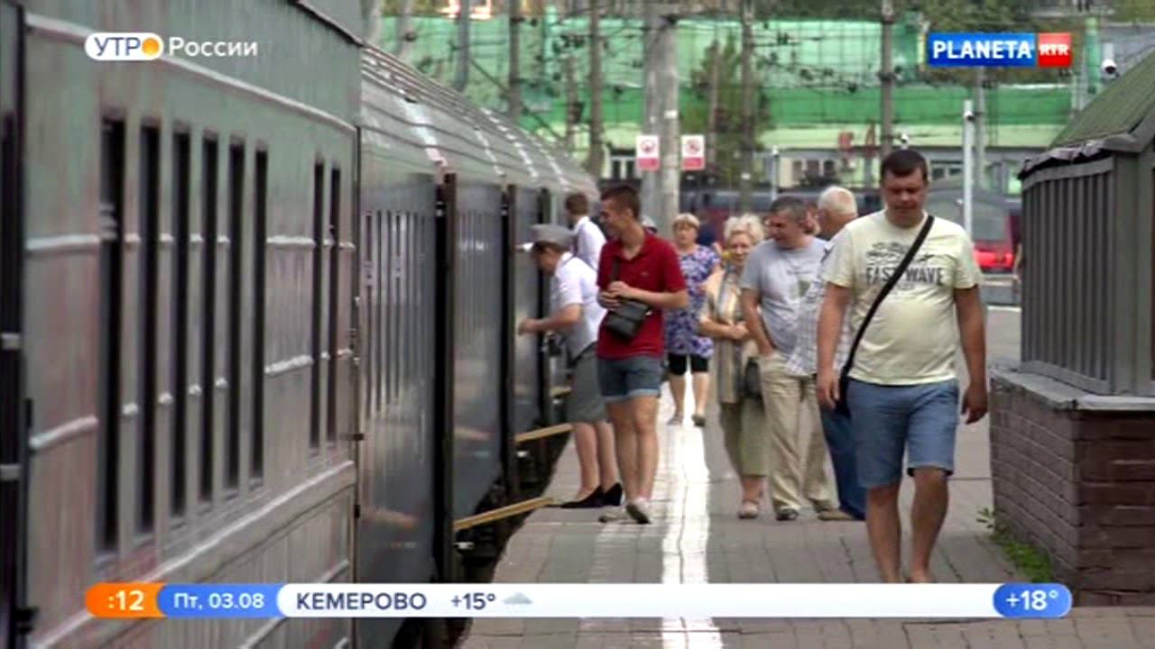 Перевозка животных без хозяев