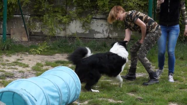 Кинологический праздник "Зарница" посвященный празднованию 70-летия Великой Победы г.Сочи смотреть онлайн