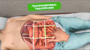 XR-Body - Гибридный симулятор пальпации живота