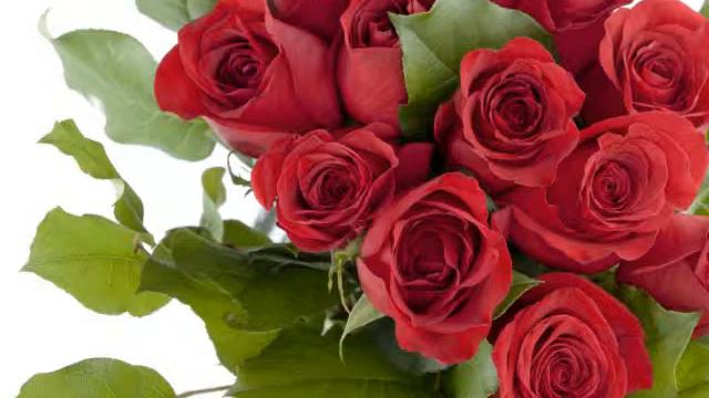 When I Fall In Love смотреть онлайн