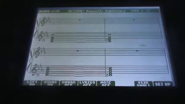 Yamaha PSR-S750 -- Aquatic Ambience cover (Donkey Kong Country) смотреть онлайн