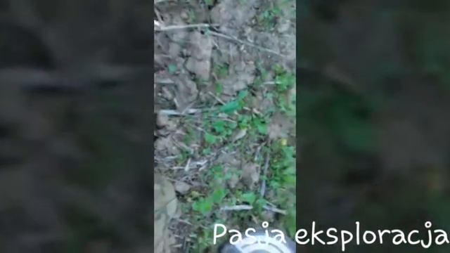 Rutus Proxima Garrett ace 250 wykopki granica czeska 2016 Находки на металлоискатель