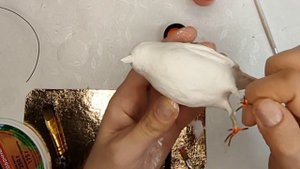 Показываю как я сделала реалистичные лапки с коготками птичке из ваты.