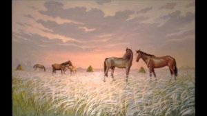 Степь. Отрывок из Тарас Бульба.  Гоголь.