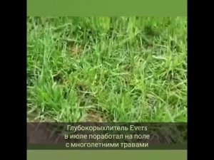 Глубокорыхлитель