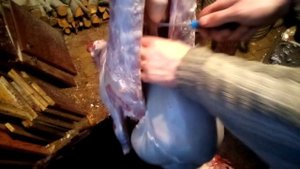 Разделка козлёнка на мясо