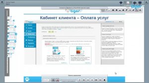 Как правильно настроить систему Tigerrr - Тех конференция