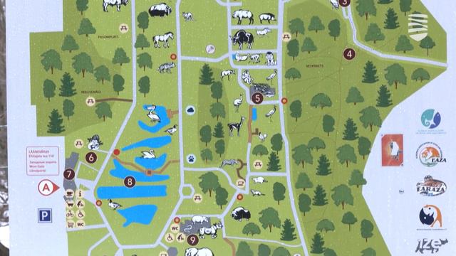 Какую программу подготовил Таллинн на эти выходные дни смотреть онлайн