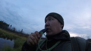 Мои духовые манки на утку осенью