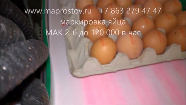 Маркировка яйца мак 2-6, оборудование для маркировки яйца